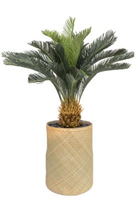 Nairobie Cyscas (Cycas) Artificial Plant Tanaman    